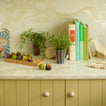 Kitchen setting with figs, plant, and cookbooks