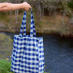 Blue gingham tote bag held by a person with a natural background