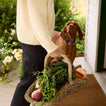 Rattan Garden Trug Basket