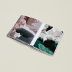 Dreamscapes book open