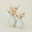 Essential Ceramic Vase in Bone in Small and Large sizes with flowers.