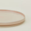 Close up of Essential Salad Plate in Blush.