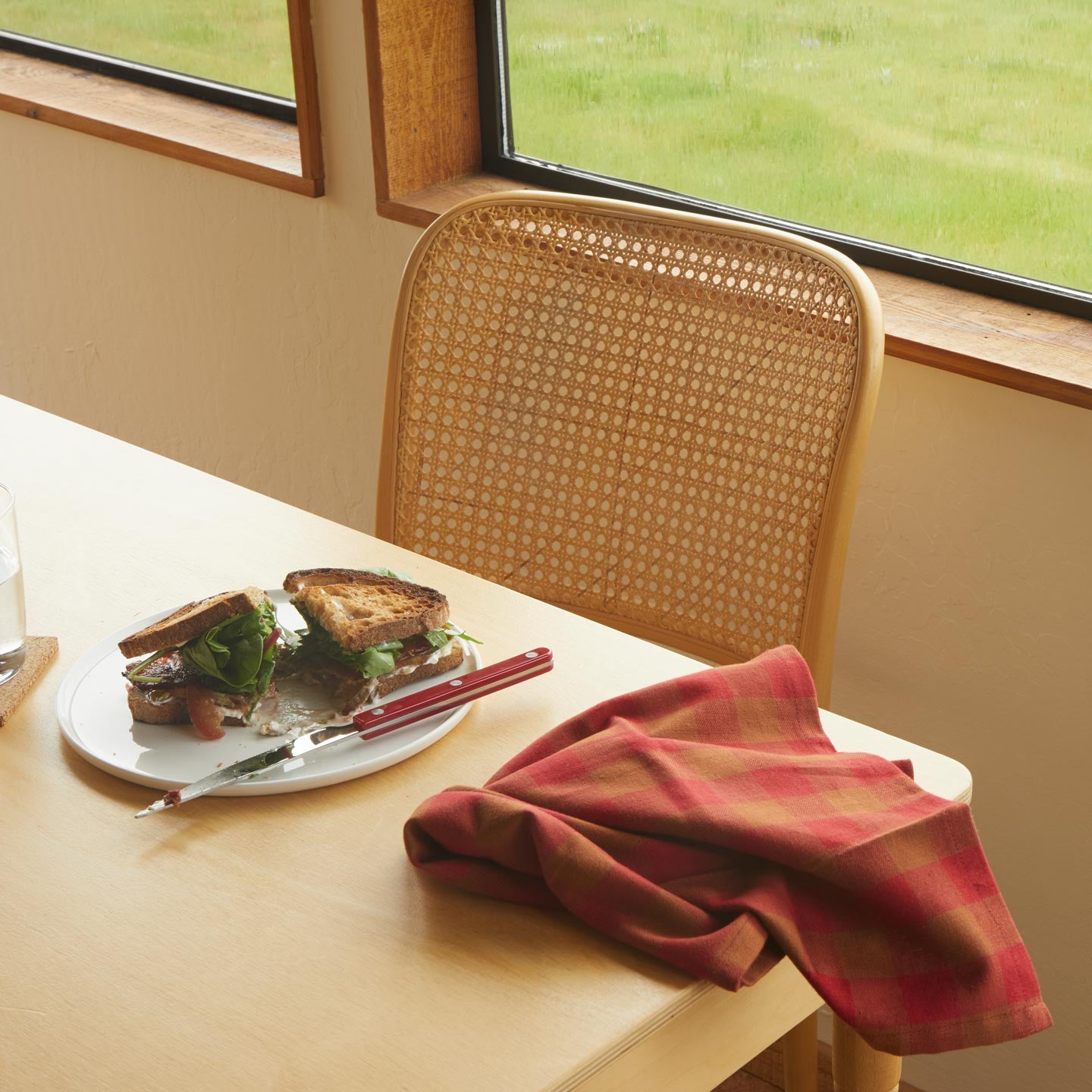 Essential Gingham Dinner Napkin, Set of 4 - Red/Terracotta