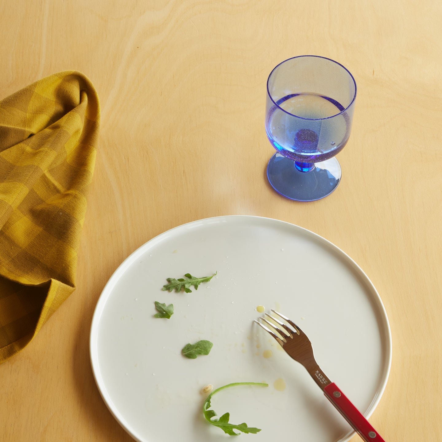 Place setting with Gingham Napkin, Simple Porcelain Plate with Red Fork, and Blue Simple Seeded Glass with water.