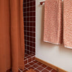 Bathroom with terracotta shower curtain and towels on a towel rack.