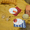 Picnic on mustard blanket with basket, canteloupe, Simple Seeded Glassware in Clear, Essential Gingham Napkins in Red and Blue, Xenia Taler plates, and fruit.