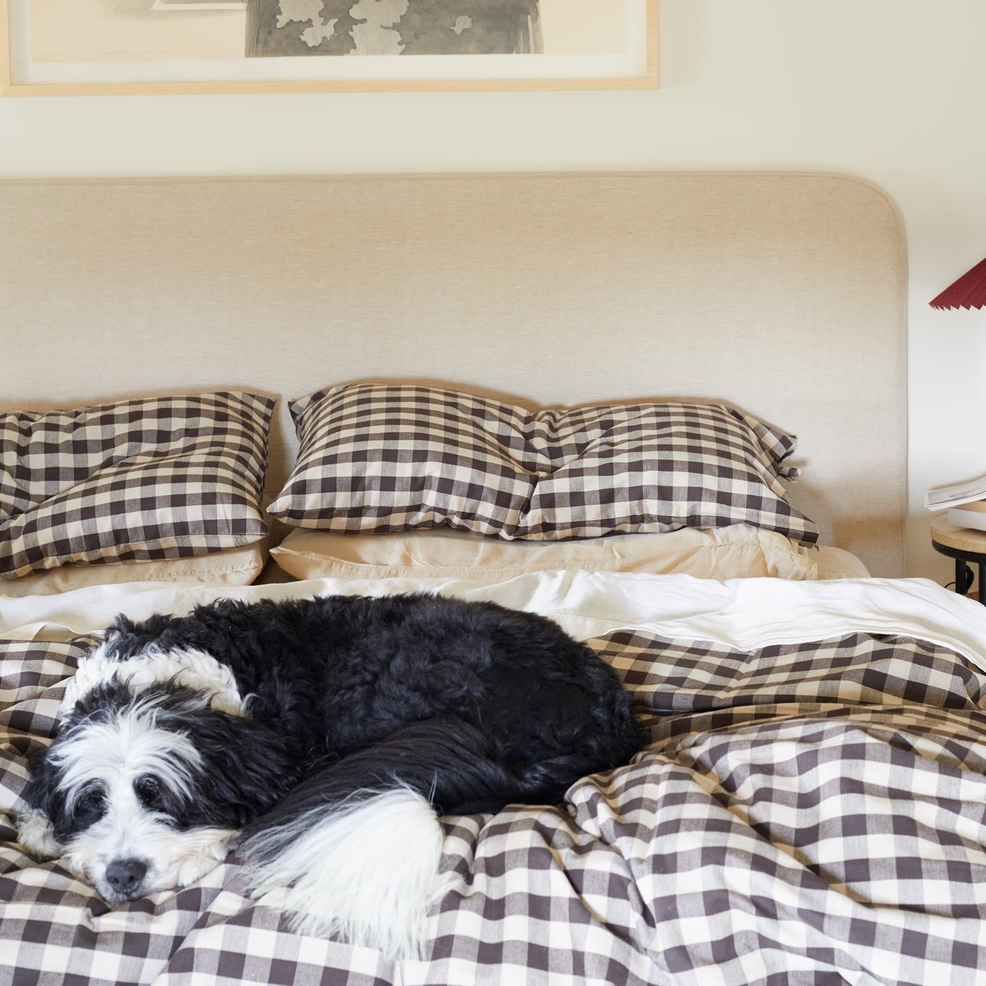 Gingham bedding in Black on bed with dog.
