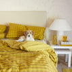 Essential Gingham Bedding in Mustard on bed with dog and nightstand.