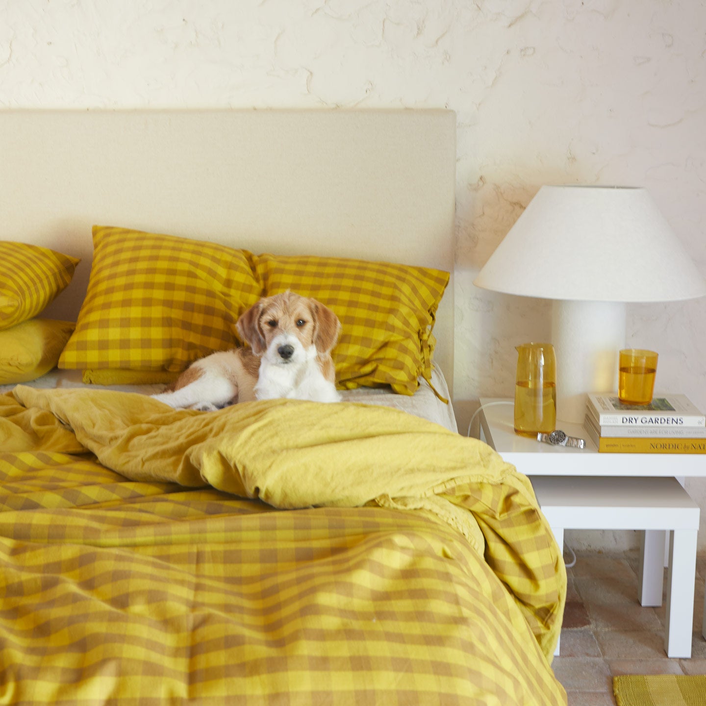 Essential Gingham Bedding in Mustard on bed with dog and nightstand with Essential Glass Pitcher and glass in Amber.