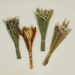 Andaluca dried floral bouquet family