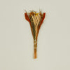 Dried Floral Bouquet - Golden Hour