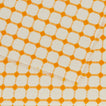 Close up view of Dove and Donkey wicker fringed placemat in marigold