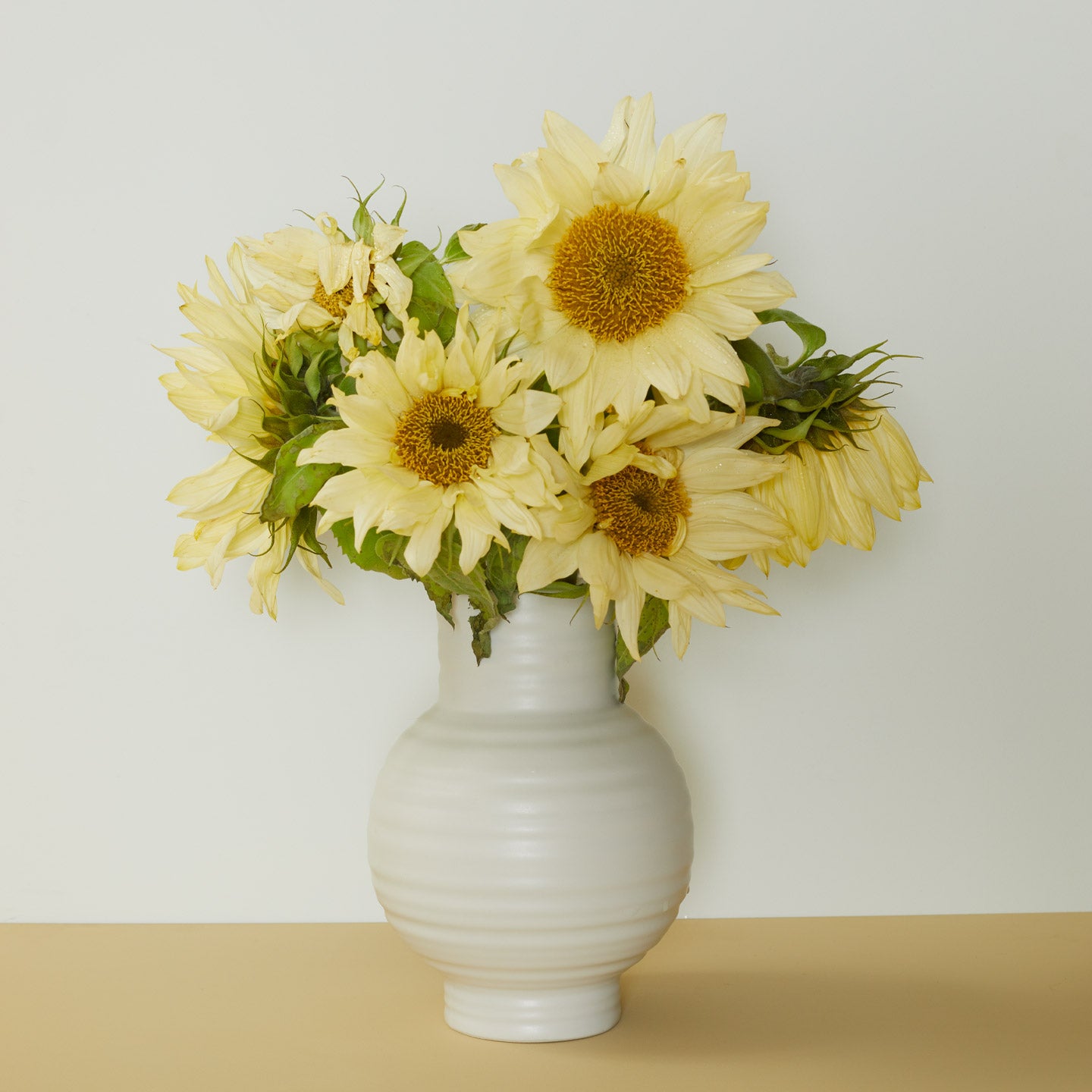 Essential Vase in Bone with sunflowers.