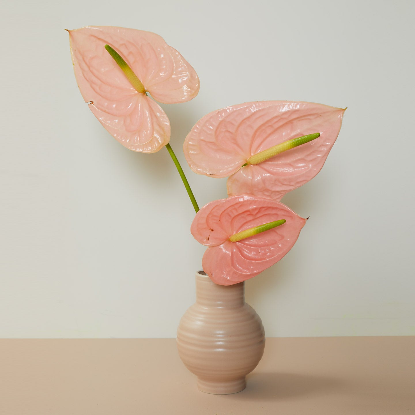 Essential Vase Blush with flowers.