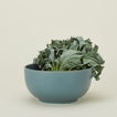Essential serving bowl in peacock with arugula
