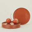 Set of 4 essential dinner plates in terracotta with radishes
