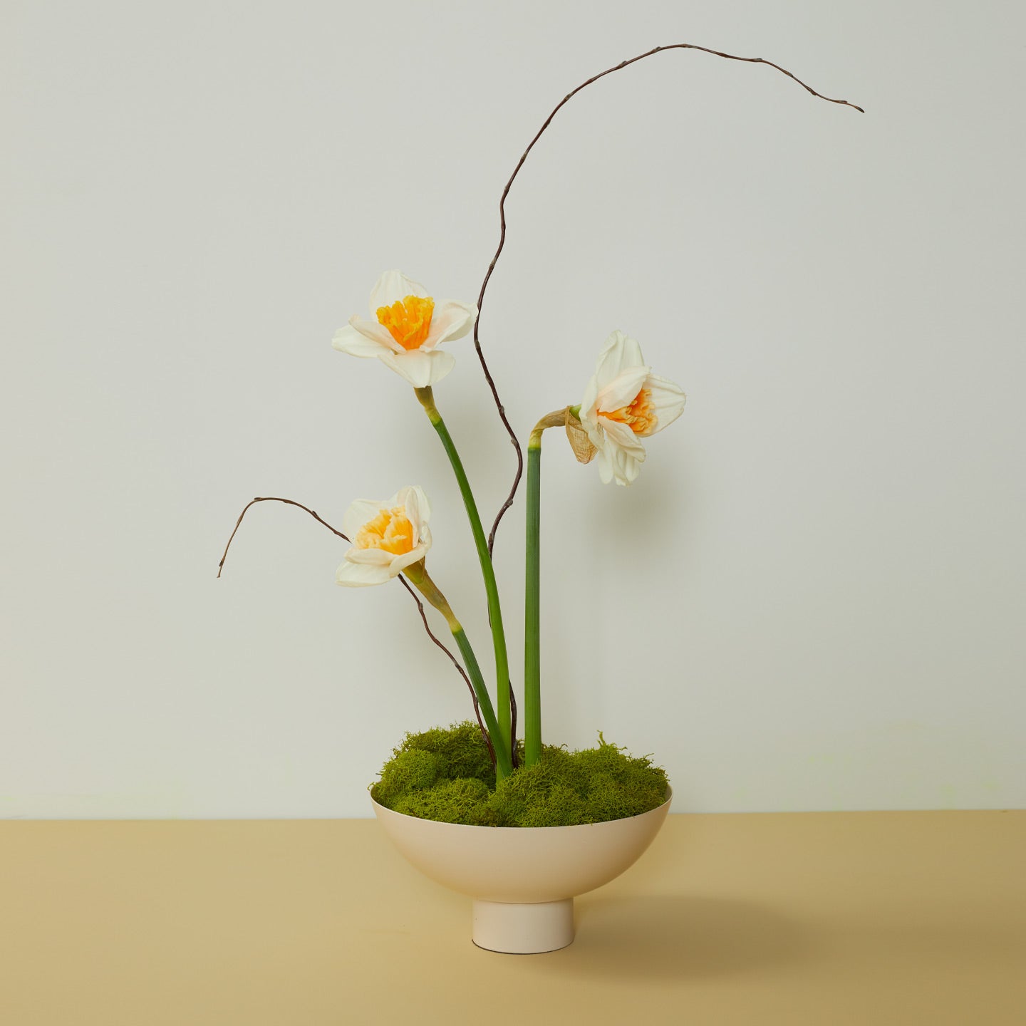 Footed bowl in ivory with moss and daffodils on yellow and white background.