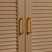 Small mustard pulls on louvered doors 