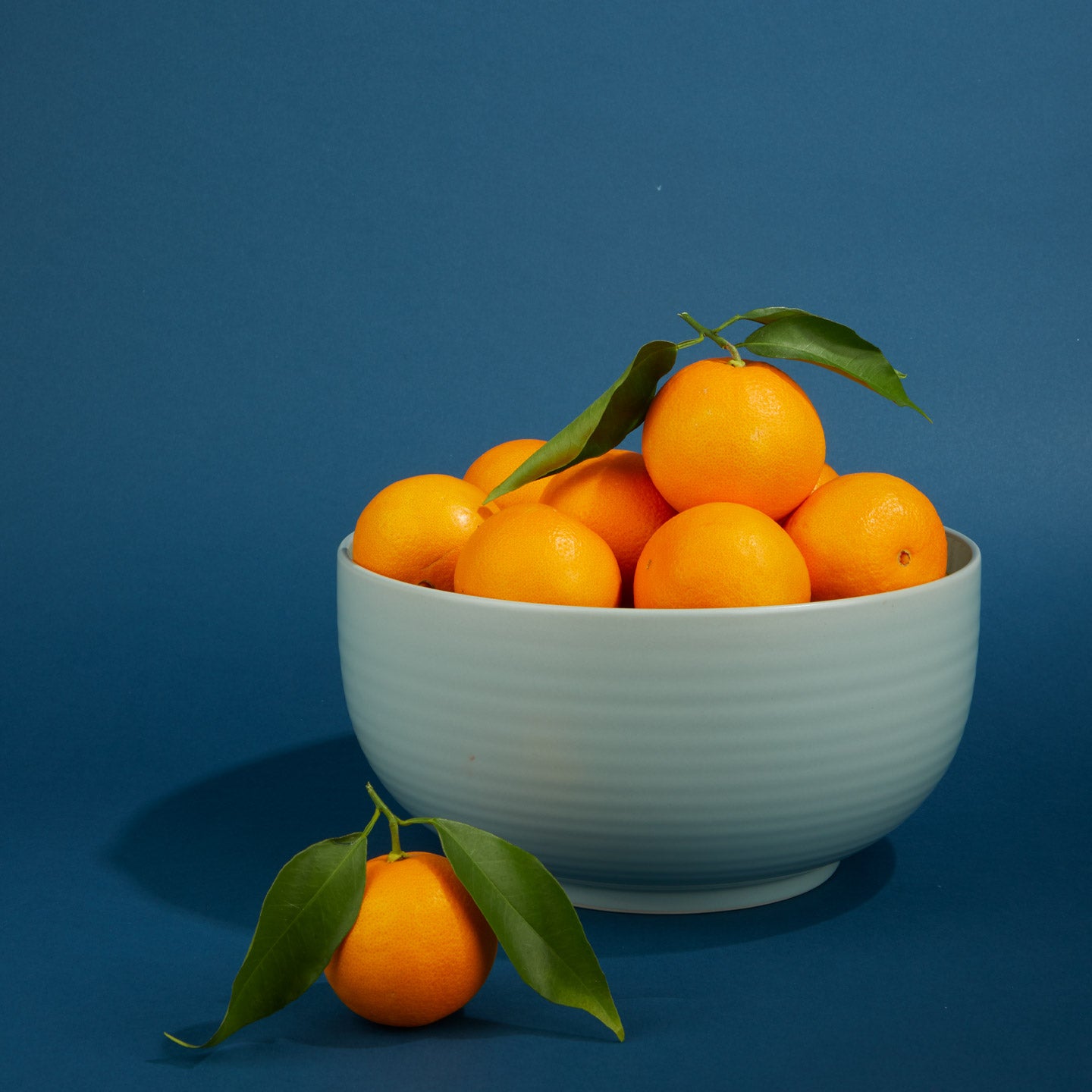 Essential Serving Bowl in Sky with oranges on dark blue background.