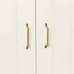Two brass handles on cabinet doors