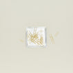 Overhead view of square silver plate filled with gold paperclips in various sizes