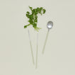 Illo spoon and chopstick set in mint with parsley