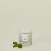 Basil candle with basil leaves