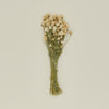 Dried Amaranth