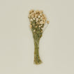 Lovejoy farms dried amaranth