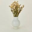 Lovejoy farms dried amaranth in essential vase