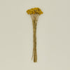 Dried Yarrow