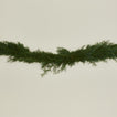 Juniper Natural Garland