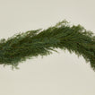 Close up view of Juniper Natural Garland