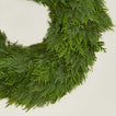 Close up view of leyland wreath