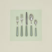 Pop 5 piece place setting in asparagus