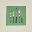 Pop 5 piece place setting in green