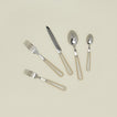 Pop 5 piece place setting in khaki