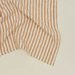 Close up view of Tell Me More leon striped napkin.