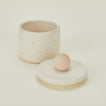 Speckled salt cellar 