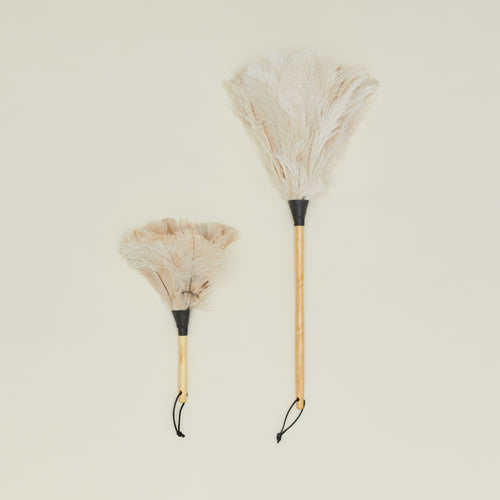 Feather Duster
