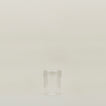 Glass Canister