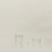 Glass Canister